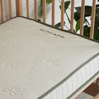Avocado Organic Crib Mattress