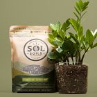 Sol Soils Houseplant Chunky Mix