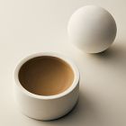 West Elm Homescent Collection - Citrus Pine