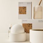 West Elm Homescent Collection - Citrus Pine