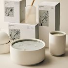 West Elm Homescent Frosted Diffuser - Jasmine &amp; Lily