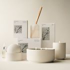 West Elm Homescent Collection - Jasmine &amp; Lily