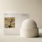 West Elm Homescent Collection - Mint Tea