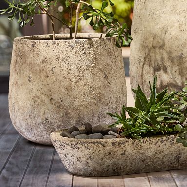 plastic plants pot Extra Large Jumbo Clear Plastic Plant Pot – Buy – Houseplant Essentials main image 1