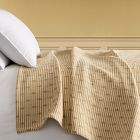 Pierce &amp; Ward Dotted Stripe Double Cloth Blanket
