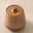 Salt Fire Glaze Stoneware Sugar Canister