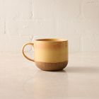 Salt Fire Glaze Stoneware Mug Sets