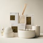 West Elm Homescent Collection - Cypress Moss