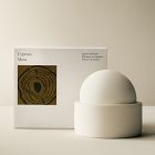 West Elm Homescent Sphere Diffuser - Cypress Moss