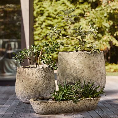 Top Outdoor Planters for Your Garden | West Elm