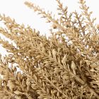 Dried Bud Bundle