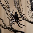 Glass Spider Ornament