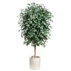 Faux Potted Ficus Tree