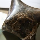 Marble Jacks Object