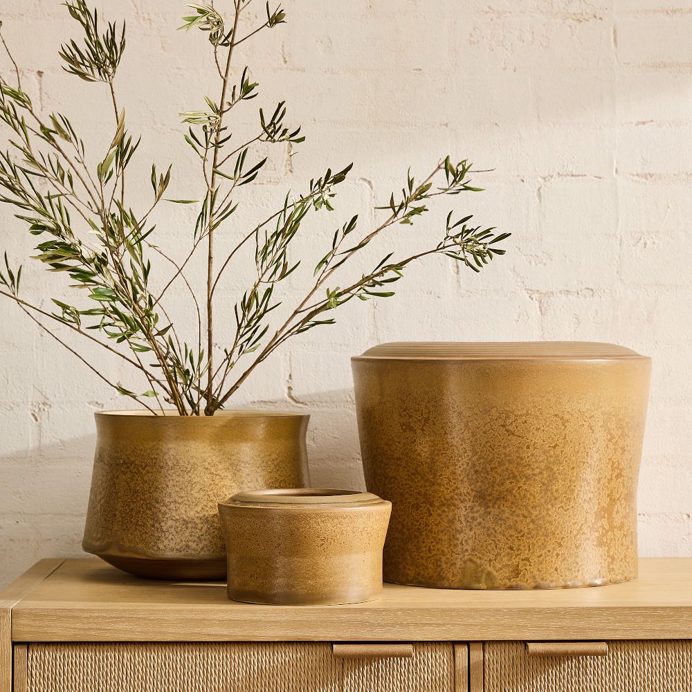Jesse Ceramic Planters by West Elm