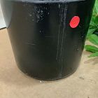 Open Box: Faux Potted Aralia Tree (8'H)