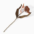 Pierce &amp; Ward Tulip Stem