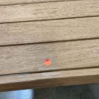 Open Box: Portside Outdoor Dining Table (76.5", Seats 6) - Reef