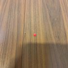 Open Box: Mid-Century Rounded Extendable Dining Table (42" - 60", Seats 4-6) - Acorn