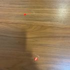 Open Box: Mid-Century Rounded Extendable Dining Table (42" - 60", Seats 4-6) - Acorn