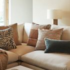 Elemental Silk Pillow Cover