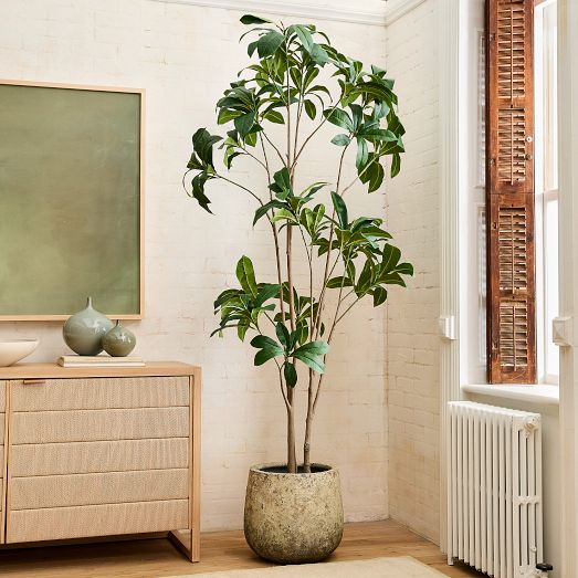 Faux Frangipani Tree, 7ft Tall | West Elm