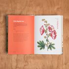 Herbal Handbook