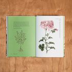 Herbal Handbook