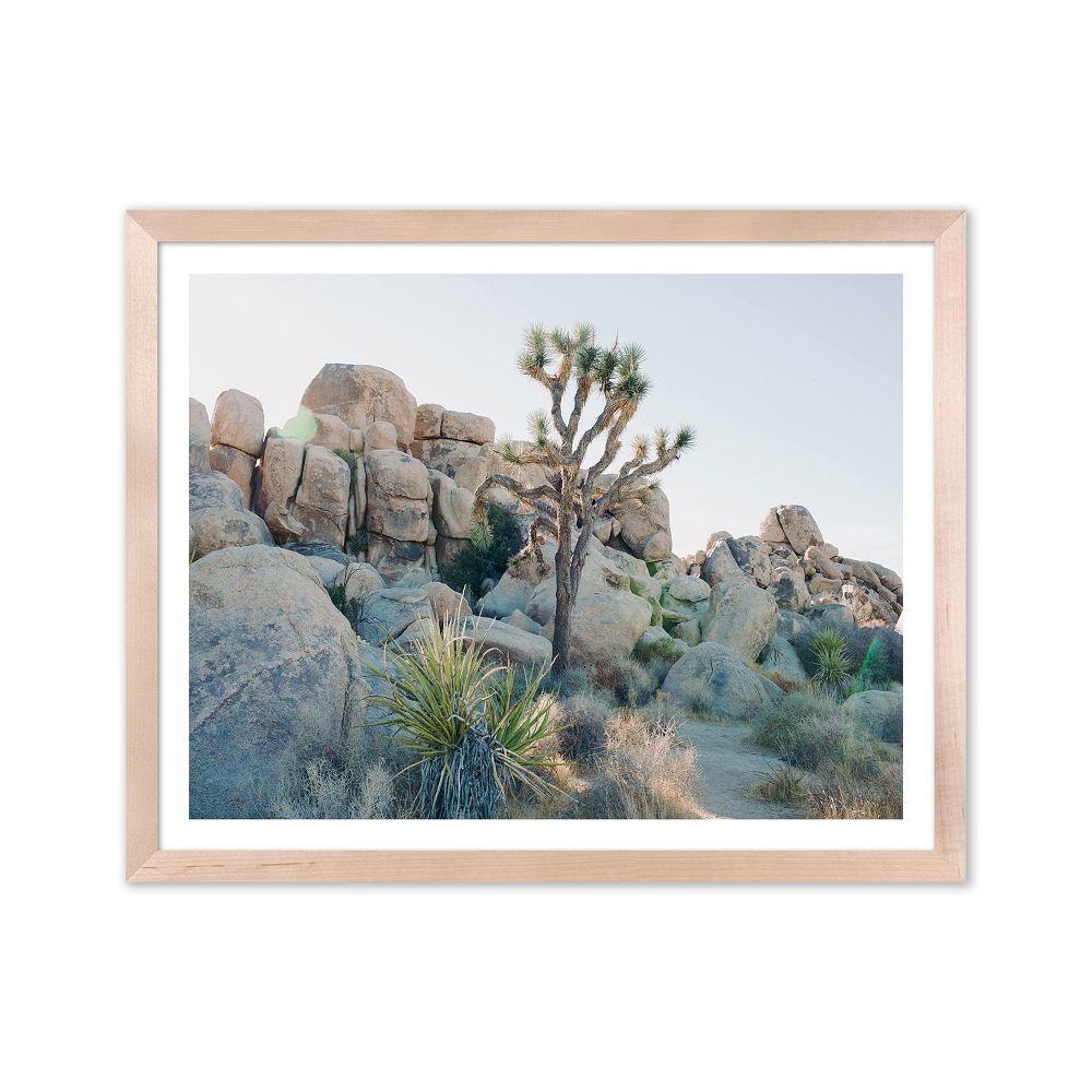 Joshua Tree Framed Print by Morgan Ashley by West Elm