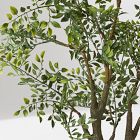 Faux Bonsai Tree