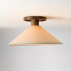 Devon Flush Mount (16")