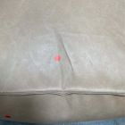Open Box: Modern Lounger Ottoman - Vegan Leather Cream