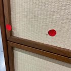 Open Box: Douglas 4-Drawer Dresser (36") - Cool Walnut, Tatami