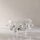 Ursa Glass Nut Bowl