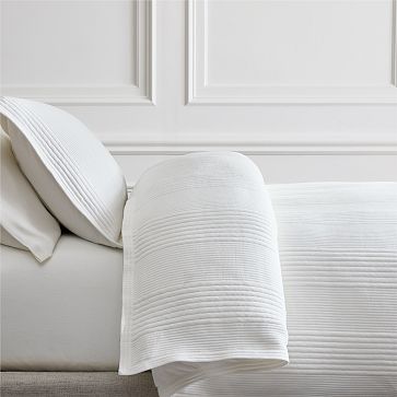 Cotton Cloud Jersey Euro Sham, Green/Vetiver Green, West Elm