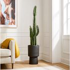Faux Potted Cactus Plant &amp; Medium Bishop Planter Bundle