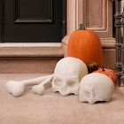 Indoor/Outdoor Skull &amp; Bone Decorative Objects