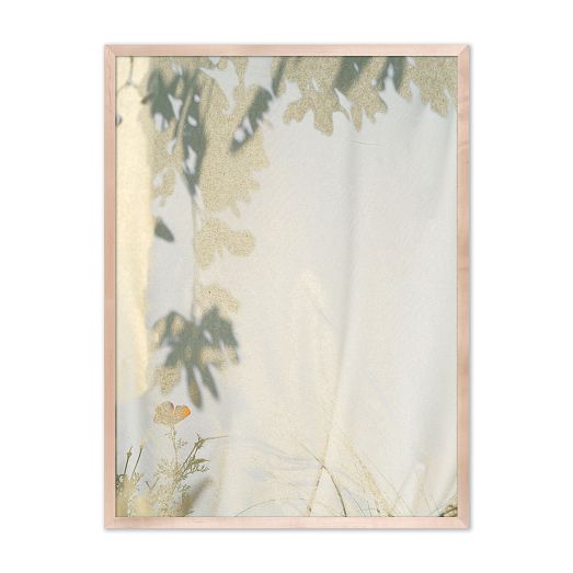 Botanical Shadows Wall Art by Fountain Grass Studios by West Elm