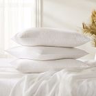European Down Pillow Insert