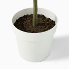 Faux Maple Potted Tree