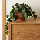 Faux Potted Green Philodendron Plant