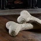 Indoor/Outdoor Skull &amp; Bone Decorative Objects
