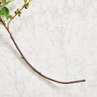 Faux Coffee Branch
