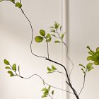 Faux Bean Leaf Spray