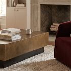 Modern Steel Rectangle Coffee Table (50")