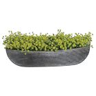 Open Box: Faux Potted Baby's Breath w/ Planter - Green