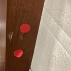 Open Box: Volume Floating Shelf (48"L x 12"D) - Cool Walnut