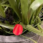 Open Box: Faux Potted Cypress Grass Tree w/ Planter (6.5')