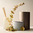 Terra Homescent Collection - Seagrass Mist
