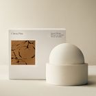 West Elm Homescent Collection - Citrus Pine